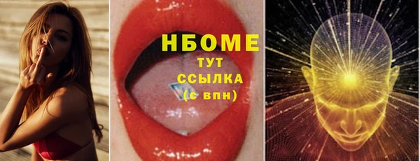 шишки Арсеньев