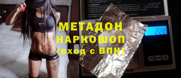 шишки Арсеньев