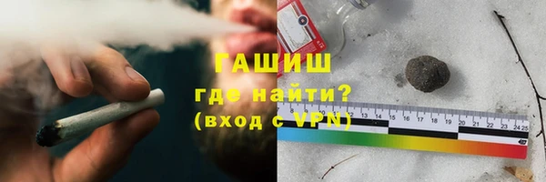 шишки Арсеньев