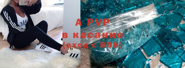 шишки Арсеньев