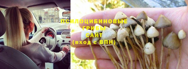 метадон Армянск